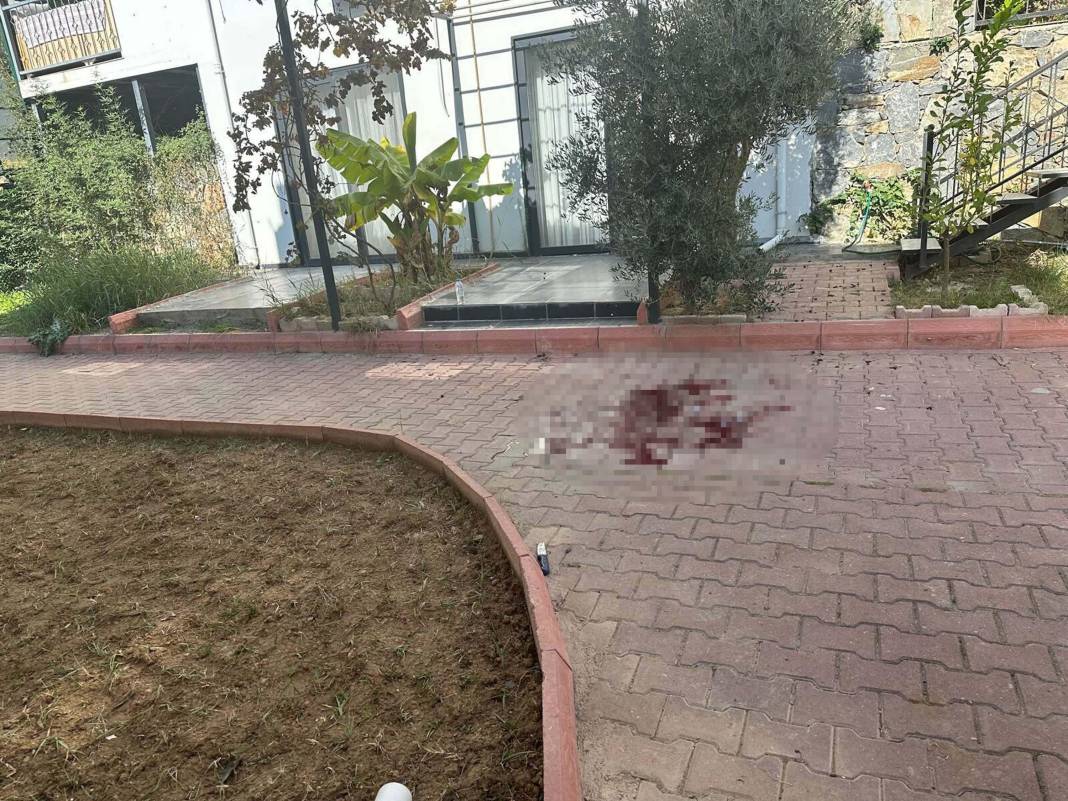 Evi yakıp jandarmaları bıçakladı, vurularak etkisiz hale getirildi 2